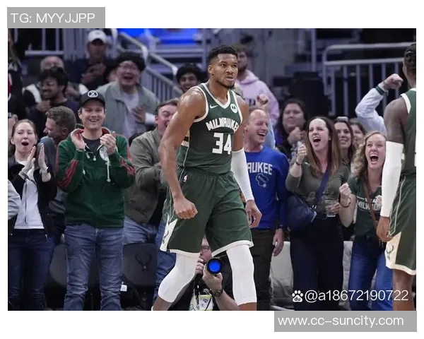 字母哥团队探讨热火与独行侠的可能性无州税吸引力引人关注